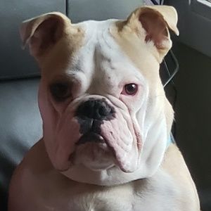 Meet your Posher, Austin